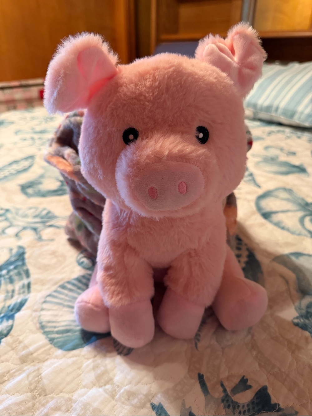 Sutton Home Plush Toy with 40”x50” throw